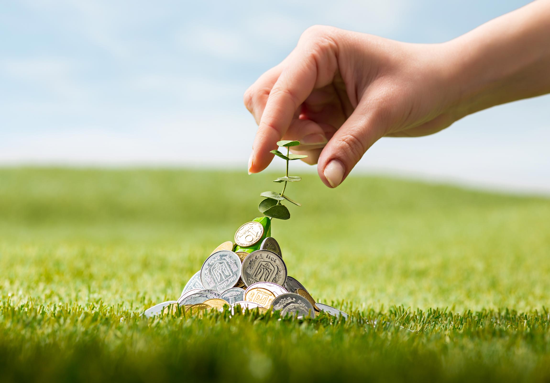 Consultoria em gestão financeira e comercial